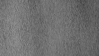 Rain Medium Still