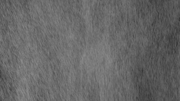 Rain Medium Turbulent